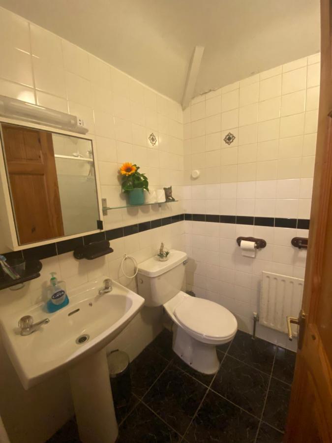 גלוואיי Cosy City Centre Guest Room Shared Home מראה חיצוני תמונה